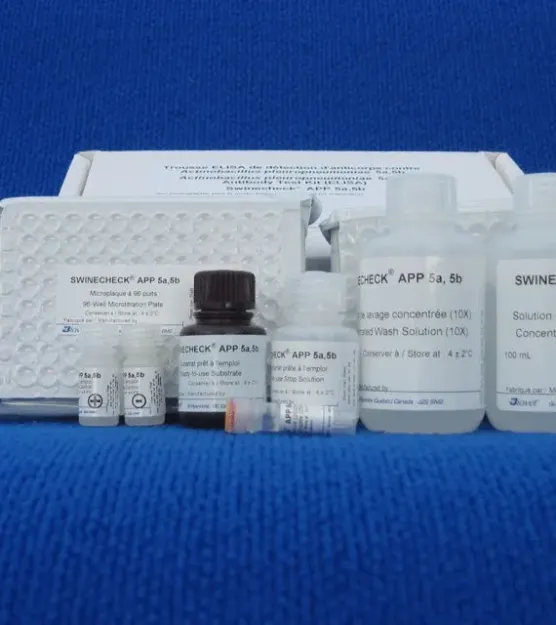 Picture of ELISA TEST Actinobacillus pleuropneumoniae serotypes 5a 5b Swinecheck