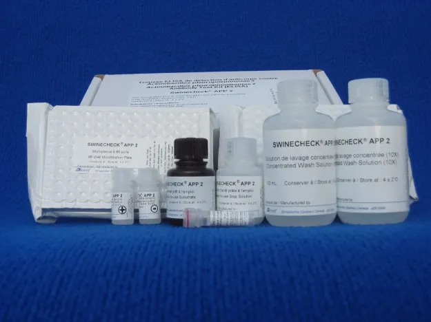 Imagem de TESTE ELISA Actinobacillus pleuropneumoniae sorotipo 2 Swinecheck