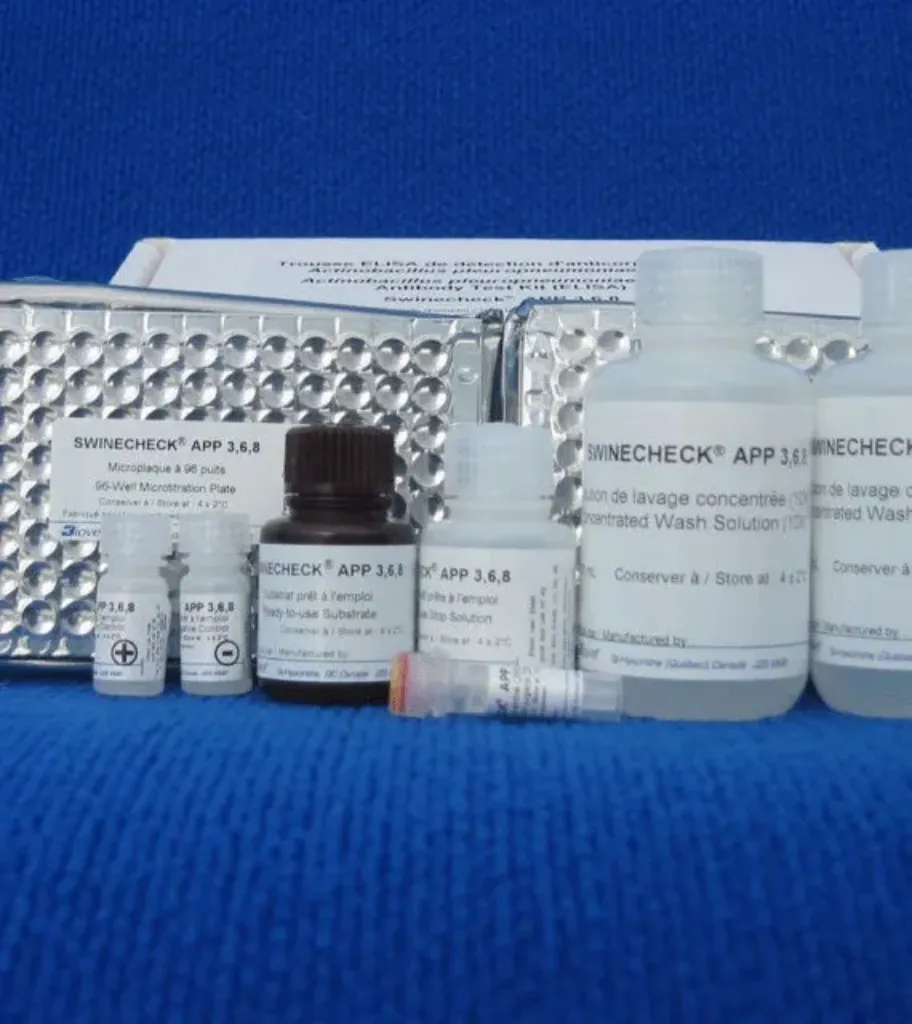Picture of ELISA TEST Actinobacillus pleuropneumoniae serotypes 3-6-8 Swinecheck