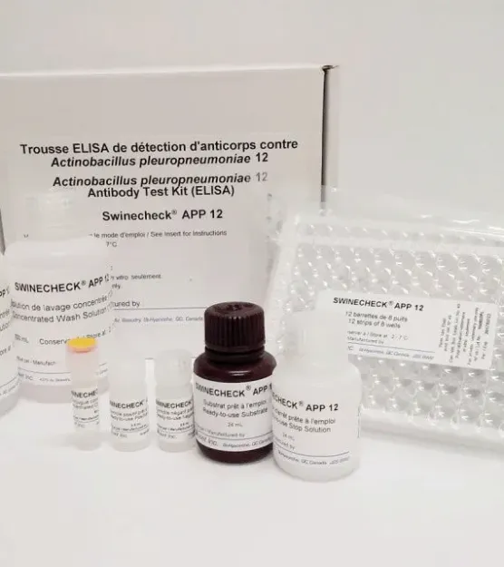 Imagem de TESTE ELISA Actinobacillus pleuropneumoniae (APP) sorótipo 12 Swinecheck