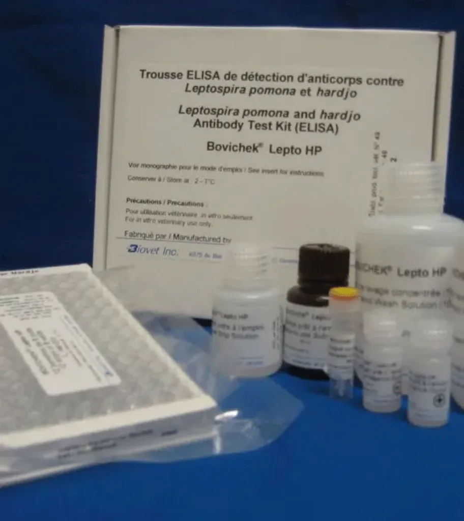 Picture of ELISA TEST Leptospira pomona and hardjo Bovichek