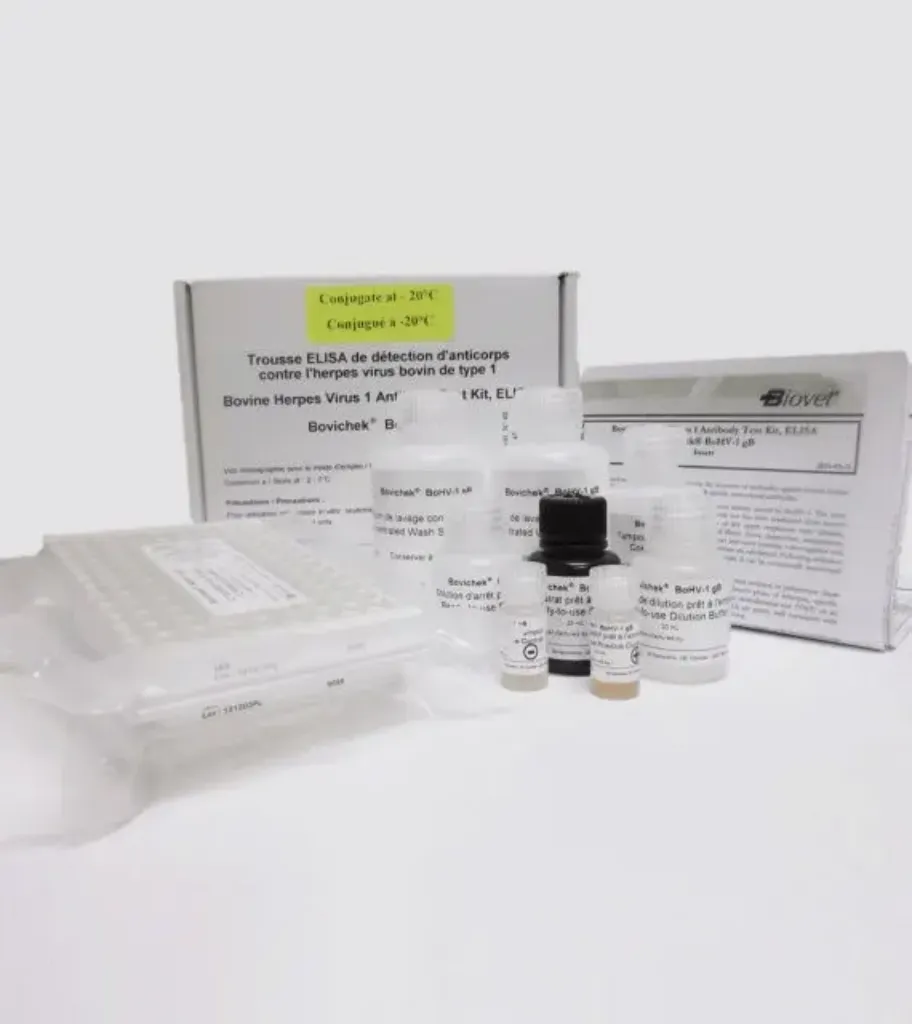 Imagem de TESTE ELISA Vírus herpes bovino 1 - BoHV-1 gB (IBR)
