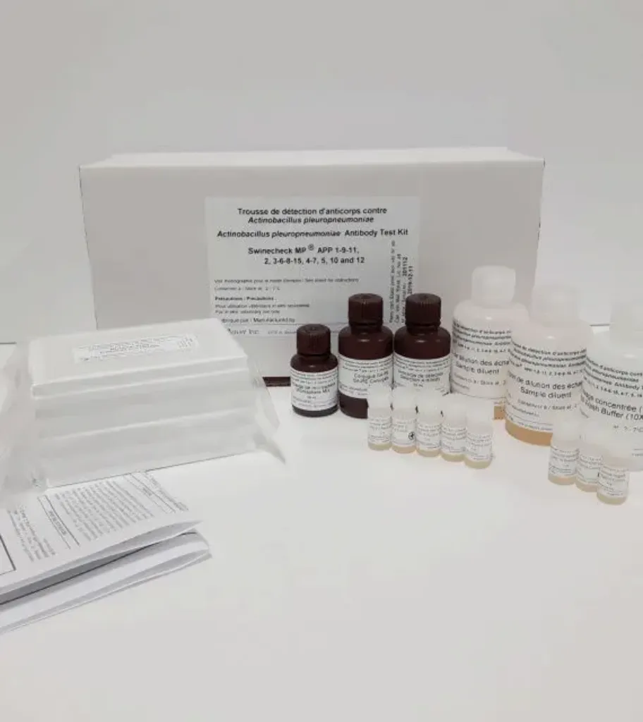 Picture of MFIA Test Actinobacillus pleuropneumoniae (APP) (1-9-11 2 3-6-8-15 4-7 & 5) Multiplex Swinecheck