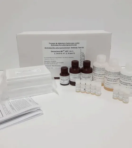 Picture of MFIA Test Actinobacillus pleuropneumoniae (APP) (1-9-11 2 3-6-8-15 4-7 & 5) Multiplex Swinecheck