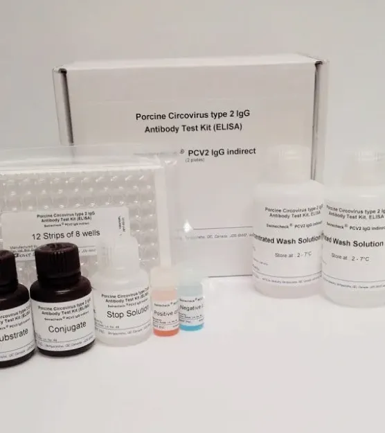 Imagem de TESTE ELISA Circovírus suíno tipo (PCV2) Swinecheck
