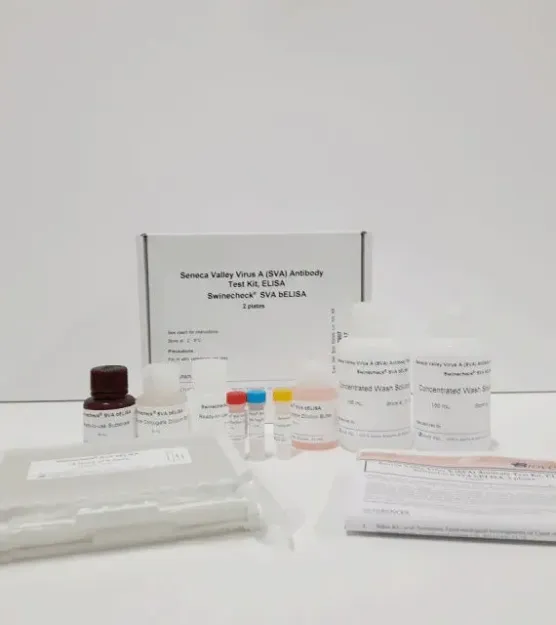 Imagem de TESTE ELISA Seneca Valley Virus (SVA) Senecavirus A Swinecheck