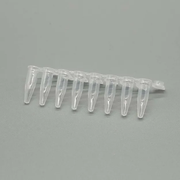 Imagem de Tiras com 8 Tubos para PCR com tampa anexada PP 0 2 mL tampa plana transparente sem DNase/RNase (PCR)