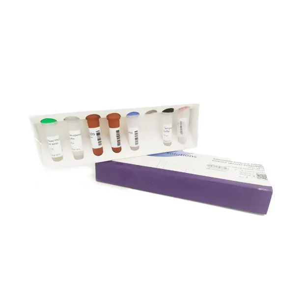 Picture of Real Time PCR Detection Kit Andes Hantavirus