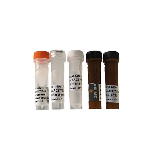 Picture of proACE™ Bst Fluorescent Hotstart