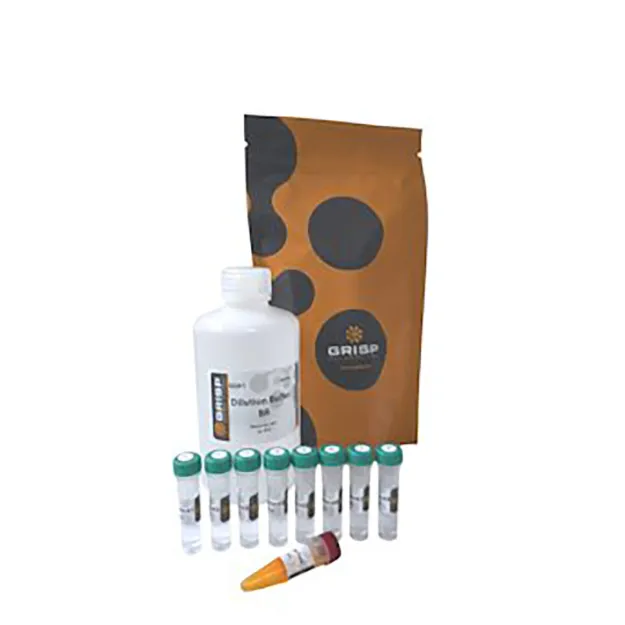 Imagem de dsDNA Quantification Kit – High Sensitivity (para leitor de microplaca)