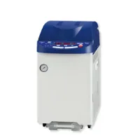Autoclave vertical