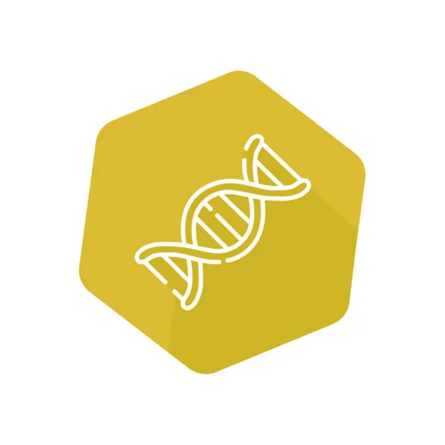 Picture of DNAnimal Screen Bird IPC qPCR
