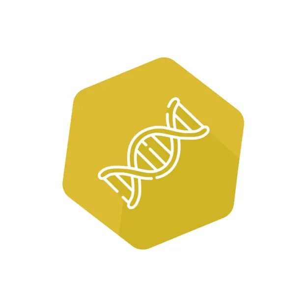 Imagem de DNAnimal Mplex búfalo-asiático-Frango-Ovelha qPCR