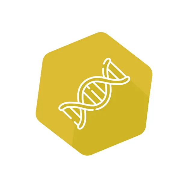 Imagem de DNAnimal Mplex Cabra-Porco-Bisonte qPCR