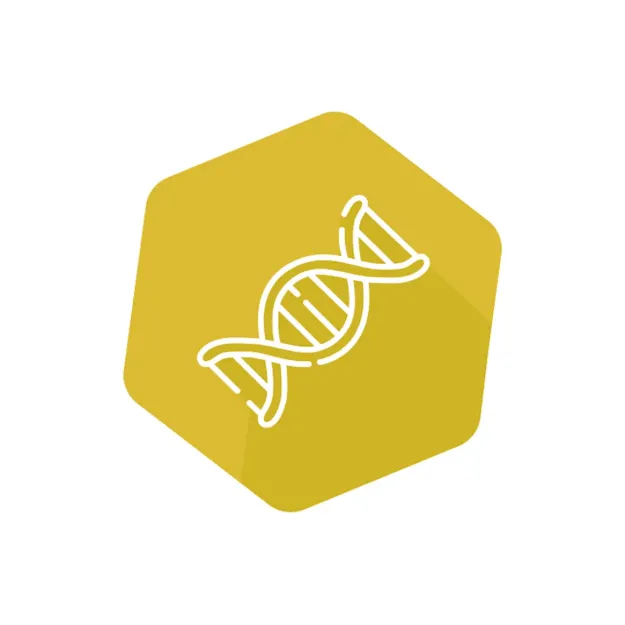 Imagem de DNAnimal Mplex Cavalo&Burro-Gado-Frango qPCR